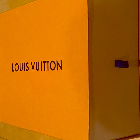 Gently used LV Trainer Sneakers in Graphite - Picture 4 of 4